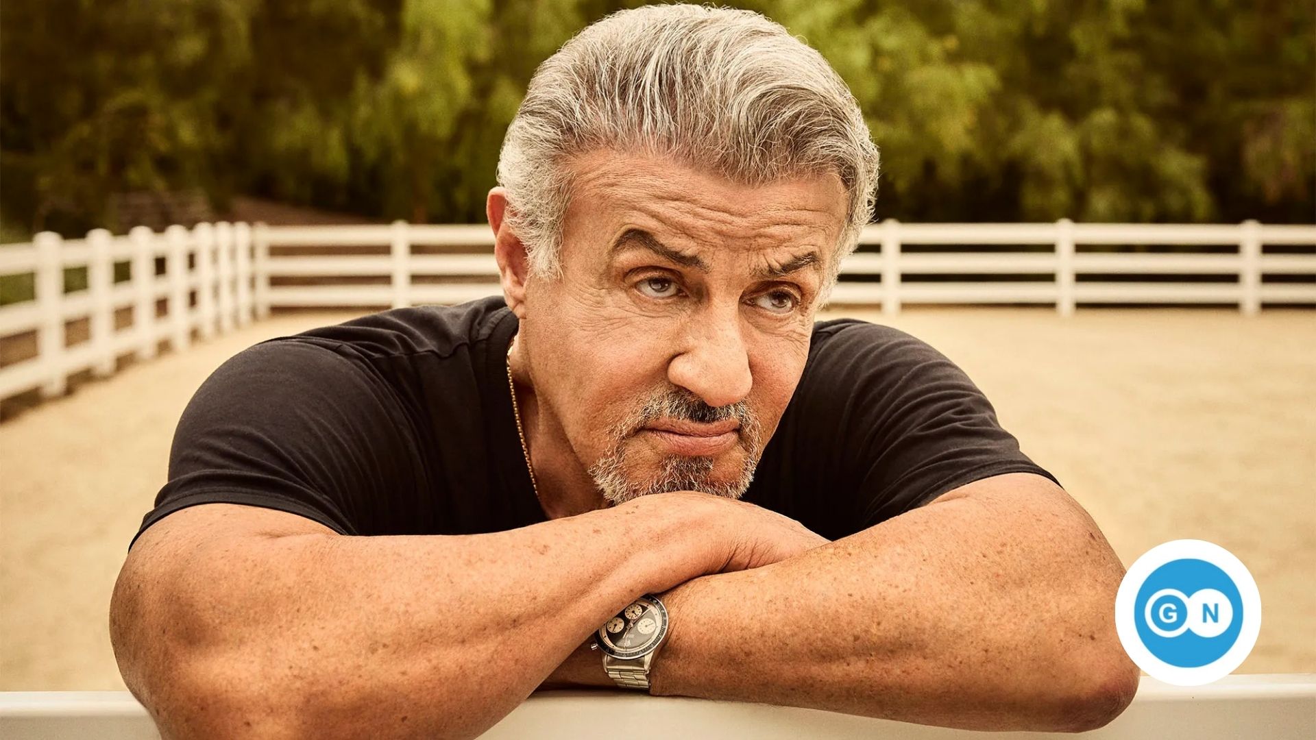 Sylvester Stallone Vermögen 
